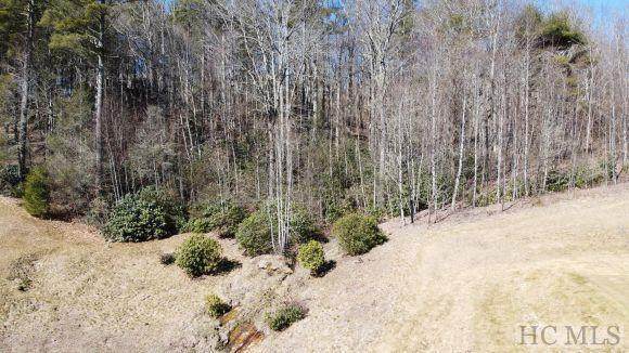 Lot# 15 Trillium Ridge Road - Photo 1