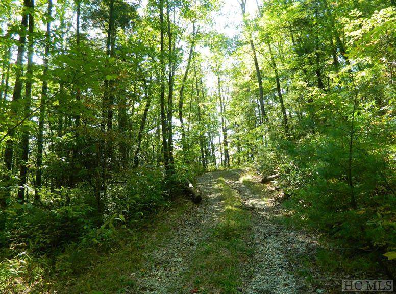 1684 Us Hwy 64W - Photo 1