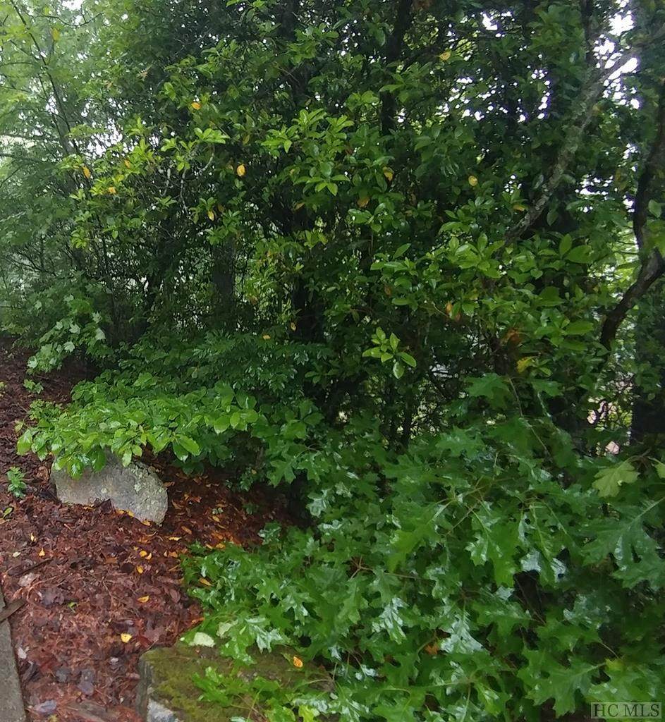 Lot 11 Hawk Mountain Road - Photo 1