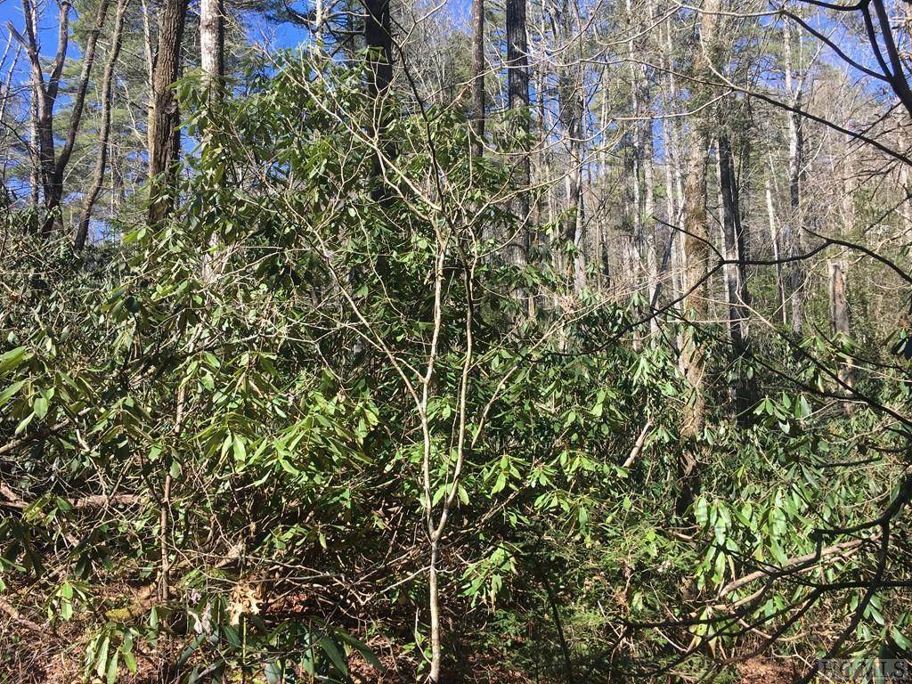 Lot 175 Whisper Lake Drive - Photo 1