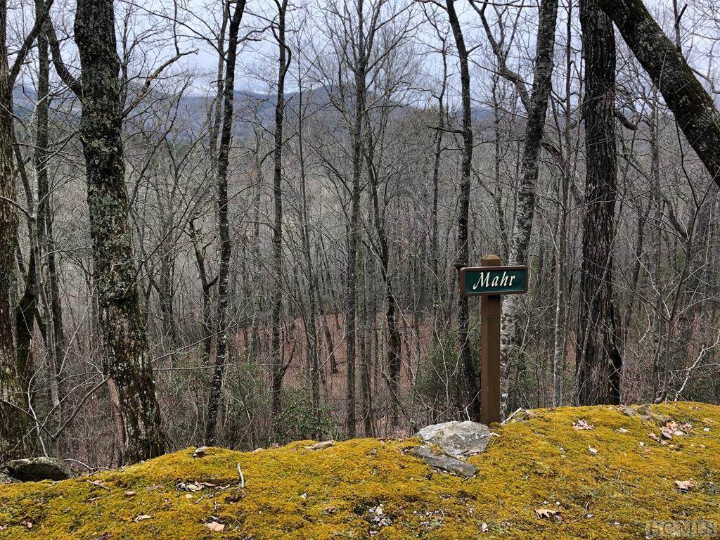 Lot 12 Shepherds Gap Road - Photo 1