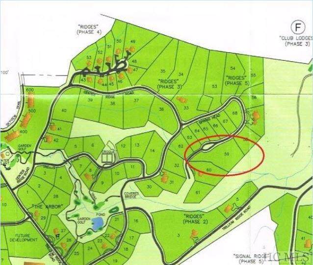 Lot 59 Springhead Trail - Photo 1
