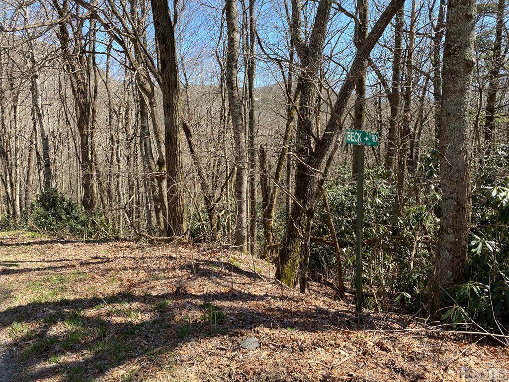 TBD Miller Road - Photo 1