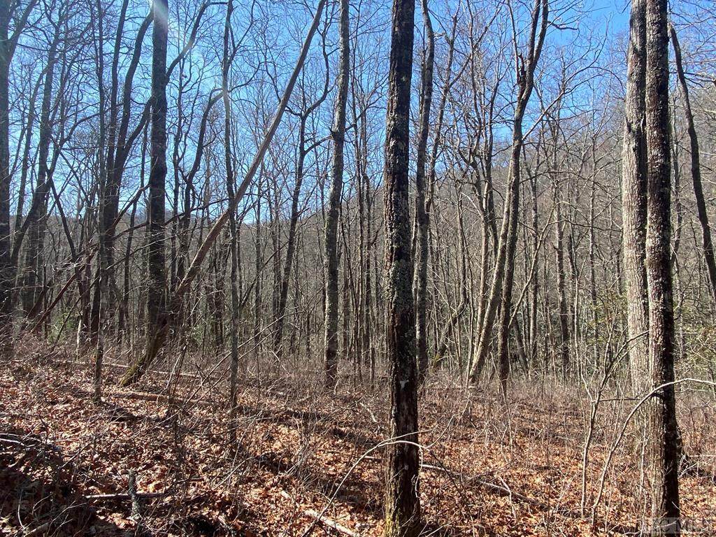Lot 140 Great Falls Drive - Photo 1
