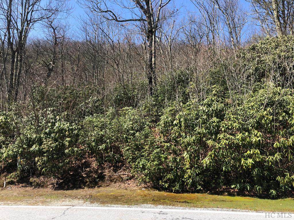 Lot 51 Meadow Ridge Road - Photo 1