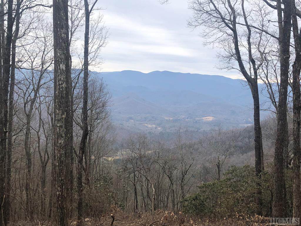 N/A Natural Bridge Road - Photo 1