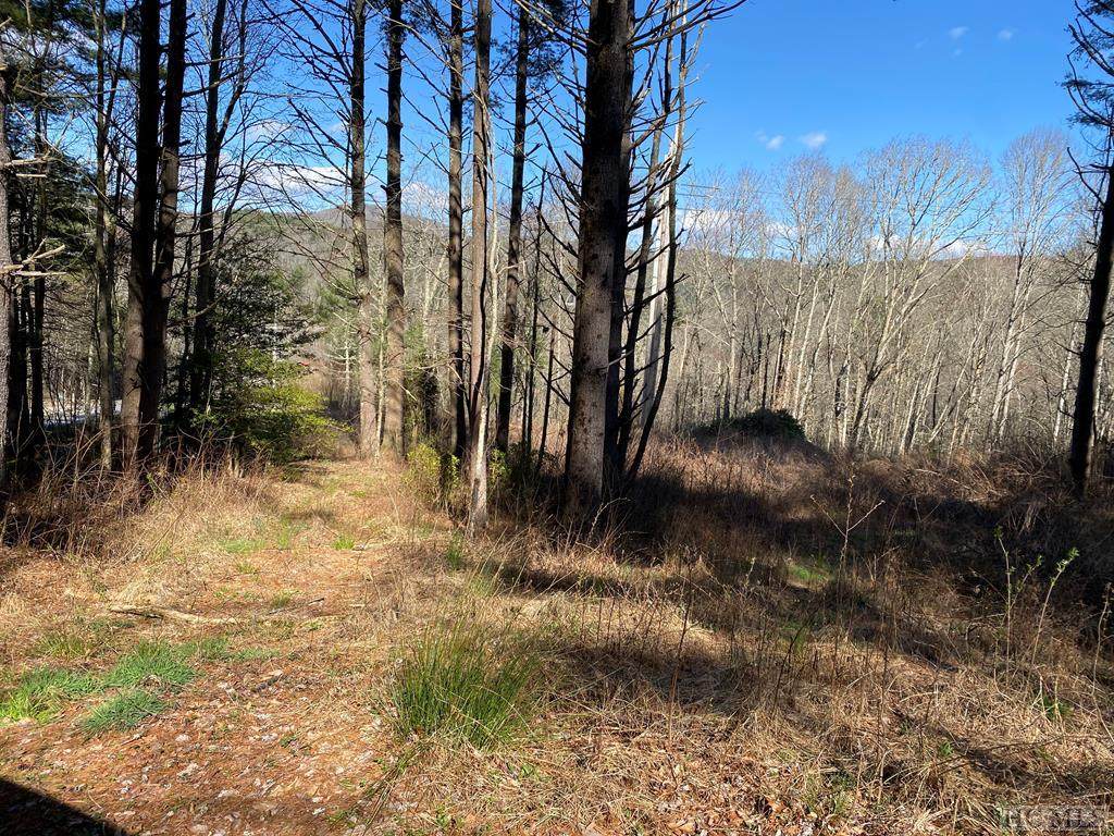 Lot 7 Receptive Drive - Photo 1