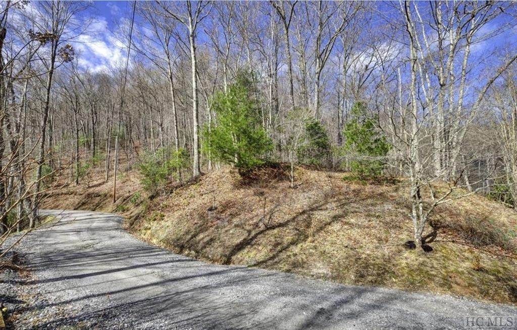 Lot 33 Red Maple Road - Photo 1