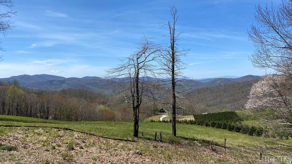 Lot 12 Chestnut Path - Photo 1