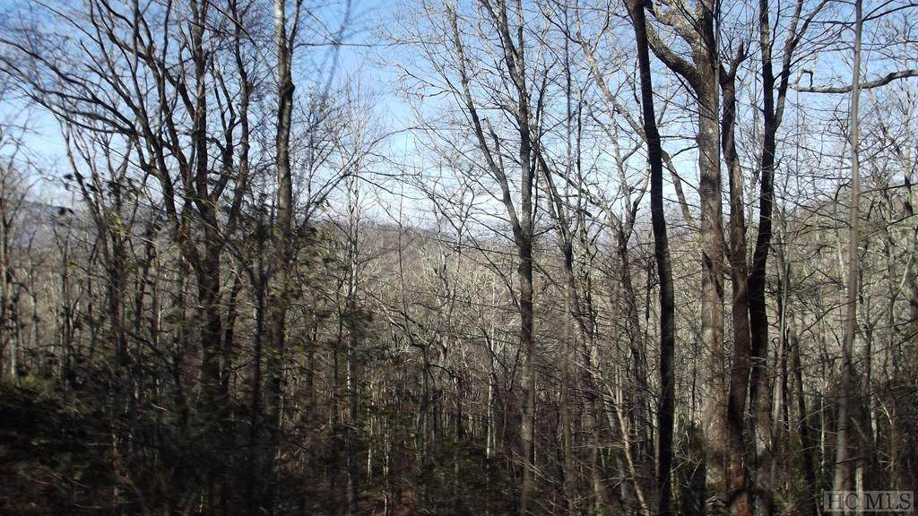 00 Silly Ridge Road - Photo 1