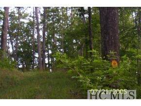 na High Point View Road - Photo 1