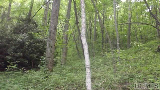NA High Point View Road - Photo 1