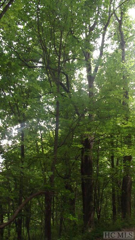 na High Point View Road - Photo 1