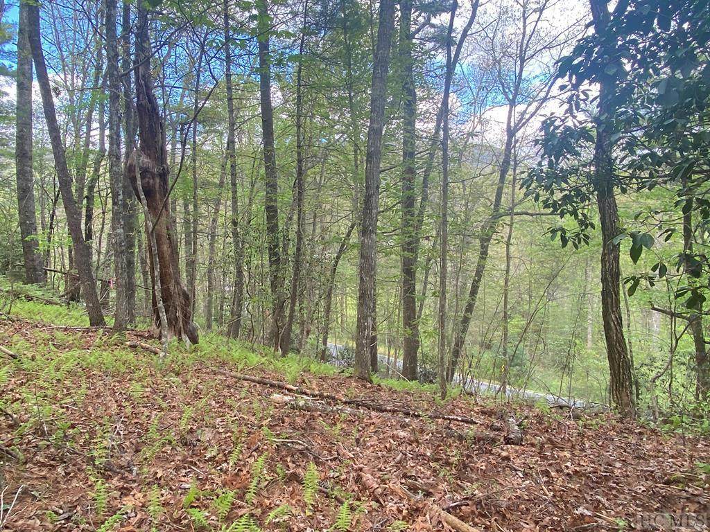 Lot 3 West Christy Trail - Photo 1