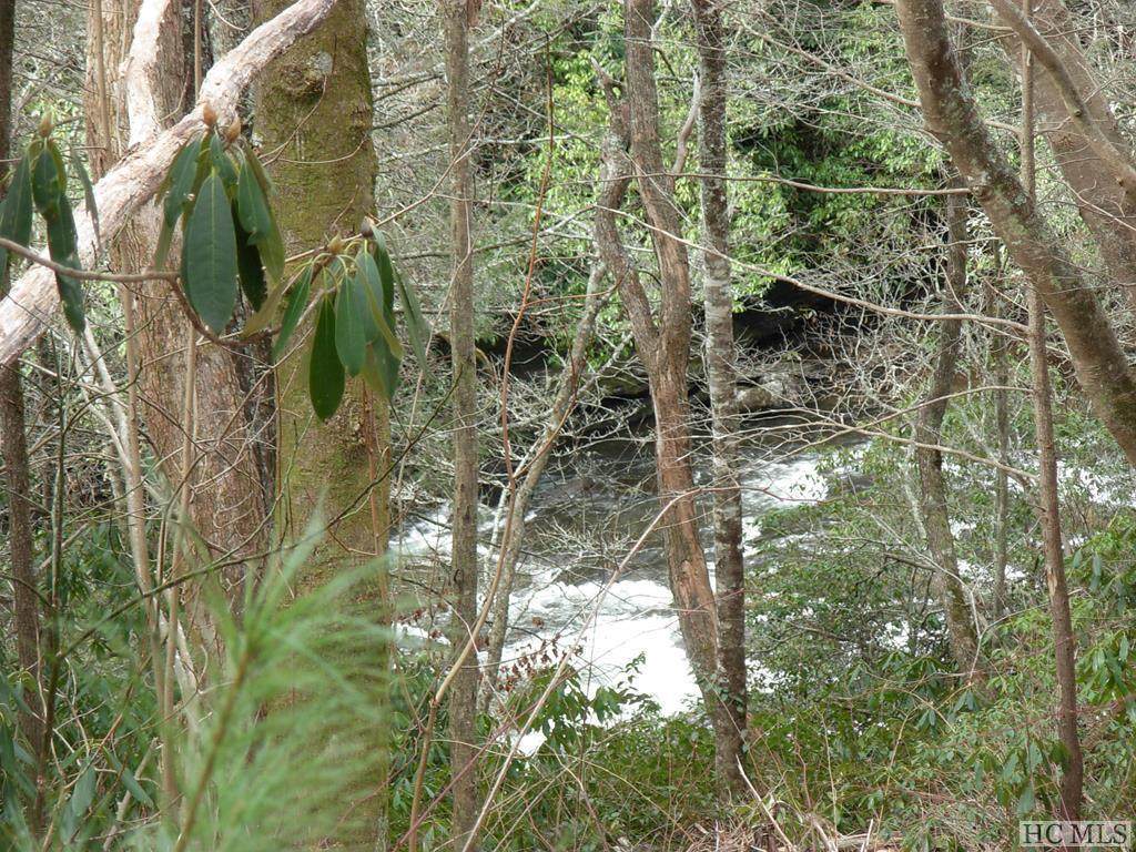 7 Turkey Roost Road - Photo 1