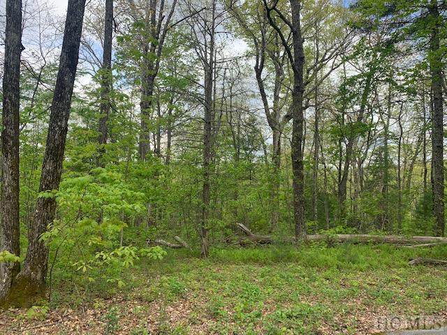 0 Blackberry Lane - Photo 1