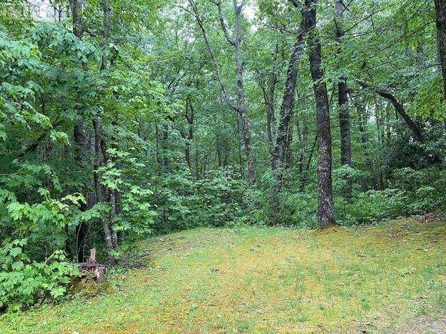 TBD Windy Hill Road - Photo 1
