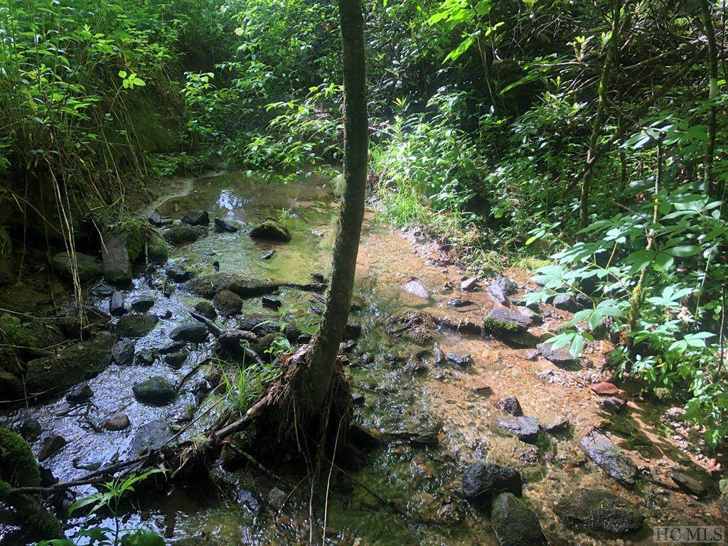 n/a Buck Knob - Photo 1