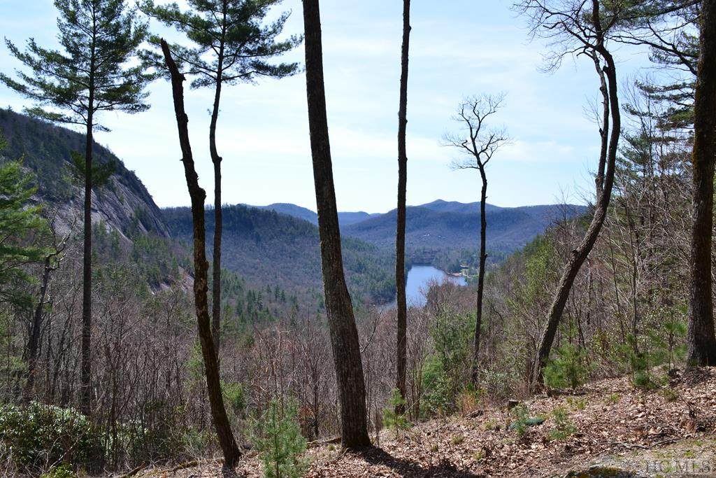 Lot 57 Gumwood Ln - Photo 1