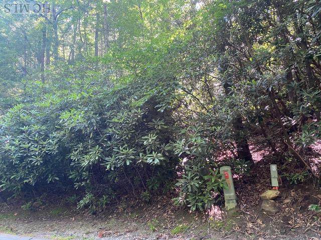 Lot 10 Gold Creek Road - Photo 1
