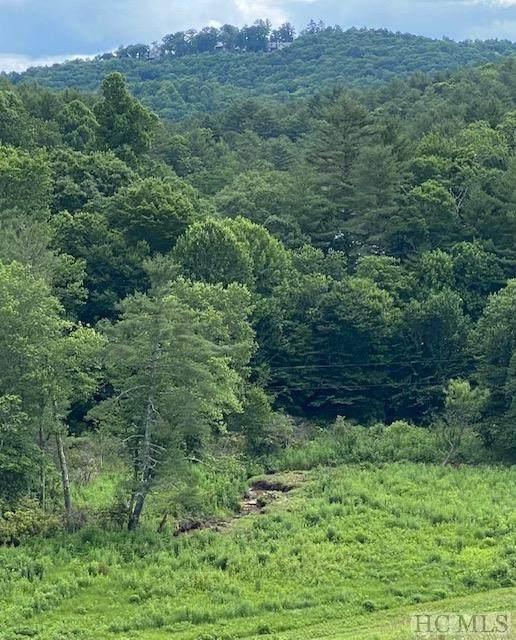 TBD Yellow Mountain Road - Photo 1