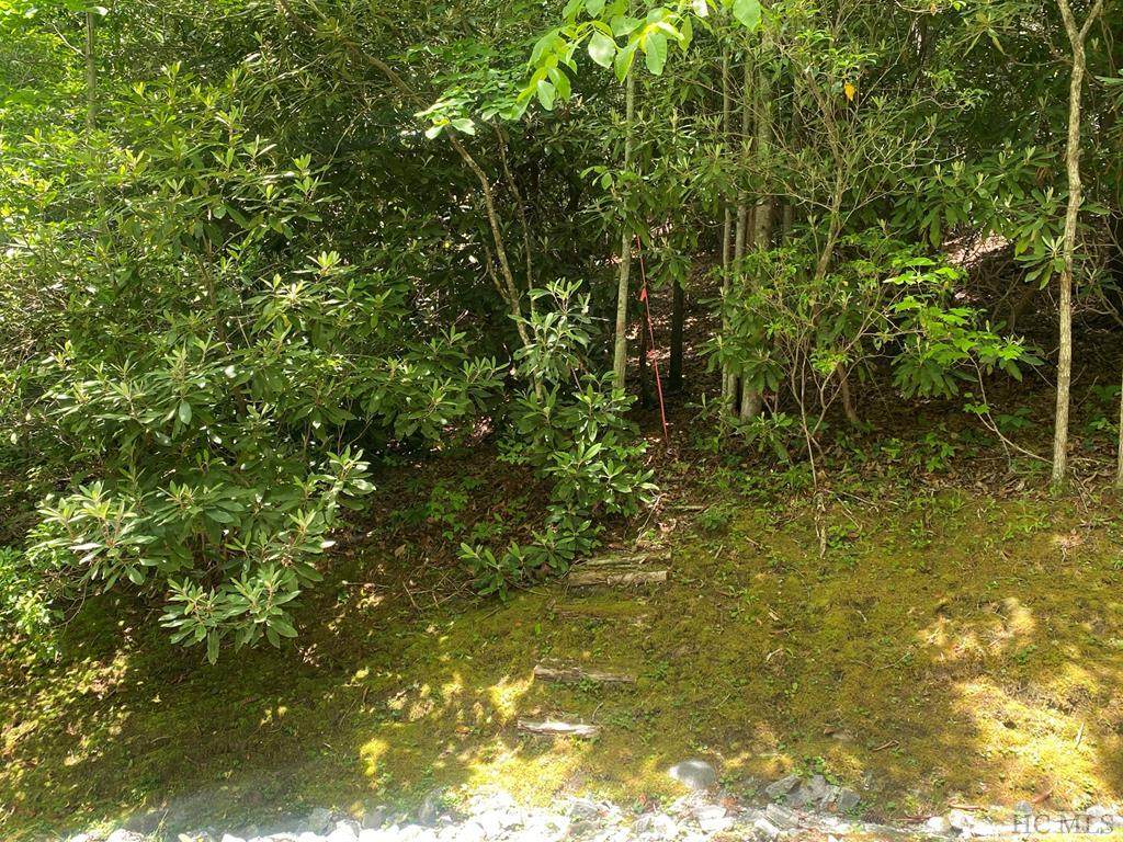 Lot 8 Wandering Ridge - Photo 1