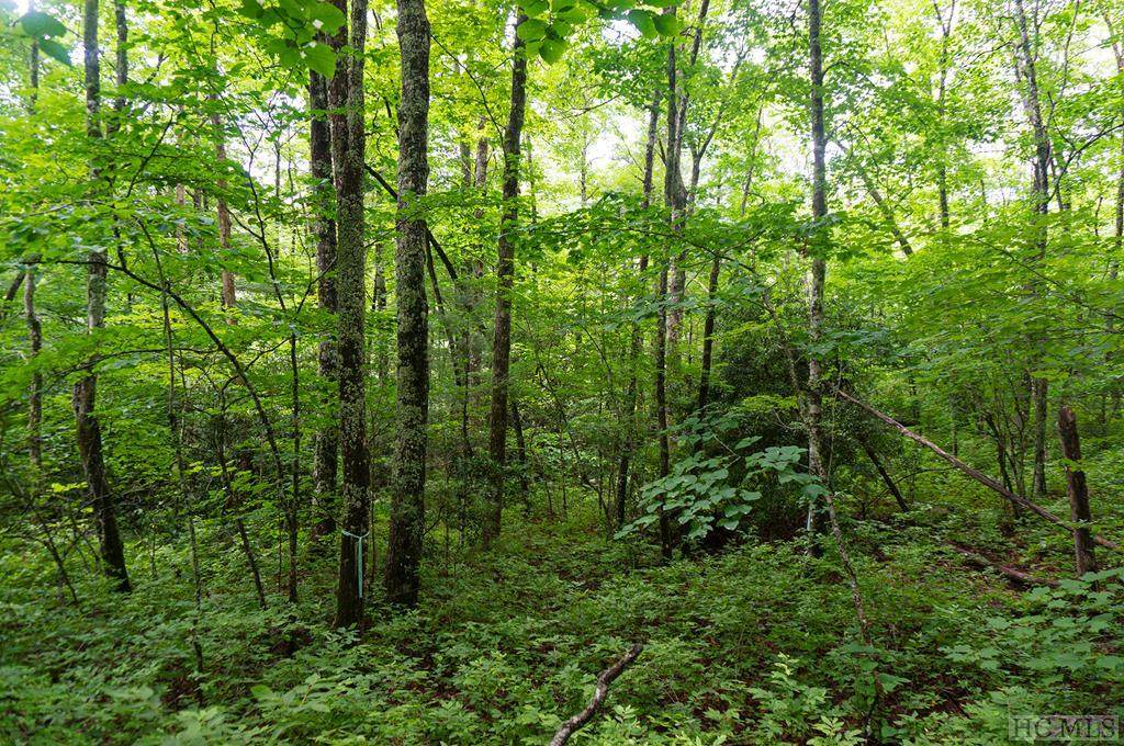 LT 71 Deer Run Road - Photo 1