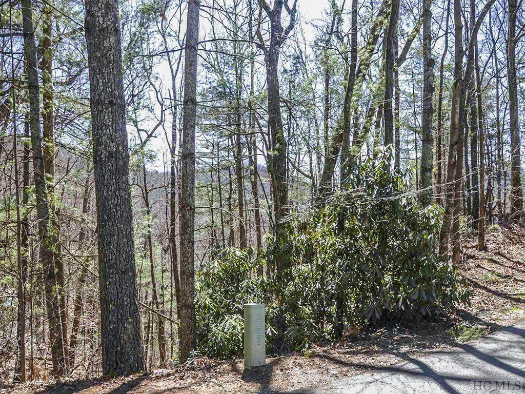 Lot 71 Saddleback Circle - Photo 1