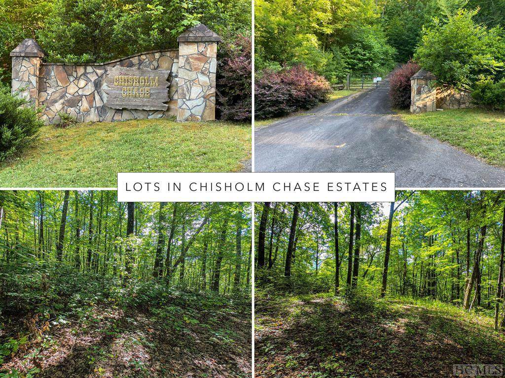 Lot 11 Bates Branch Road - Photo 1