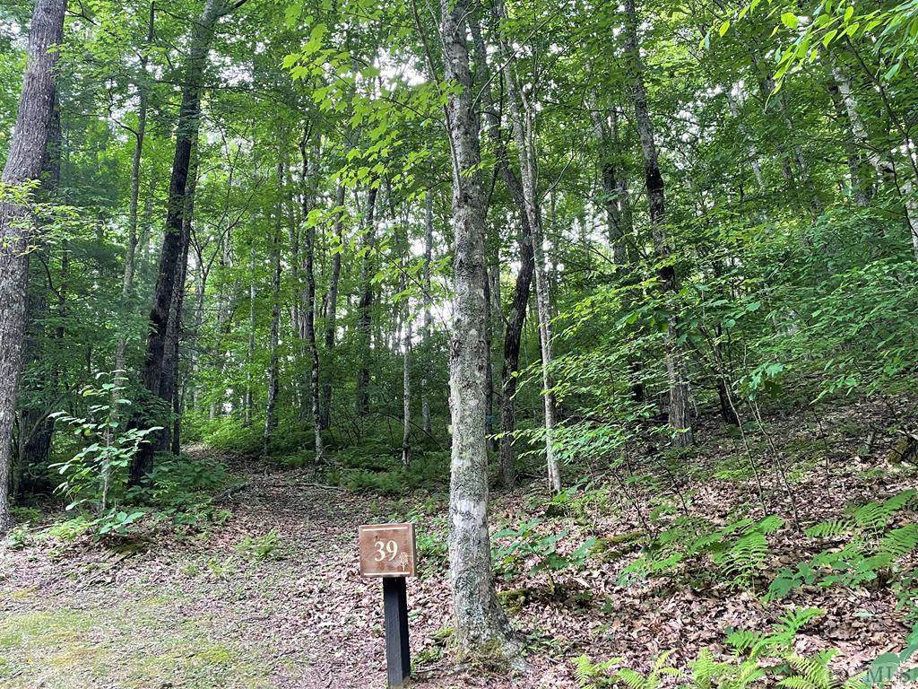 39 New Settler's Way - Photo 1