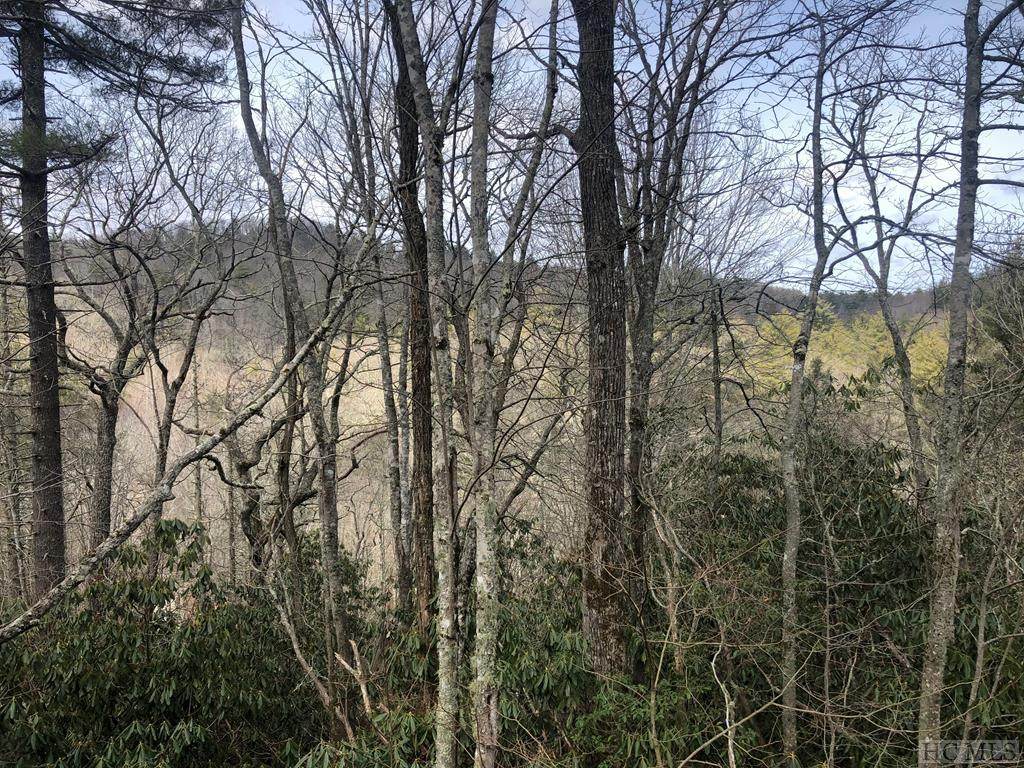 364 Cross Creek Trail - Photo 1