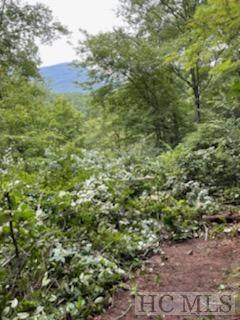 25 FR Running Fox Road - Photo 1
