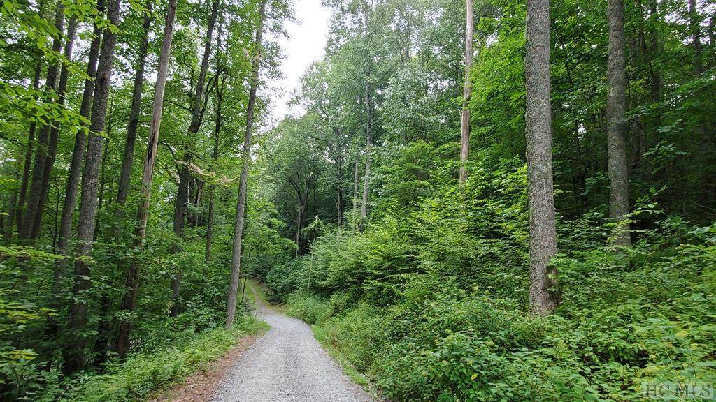 0 Raven Ridge Road - Photo 1