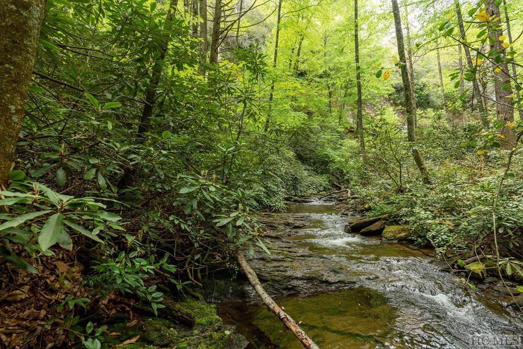 Lot 136 Rockhouse Falls Lane - Photo 1