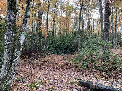 TBD Wild River Road - Photo 1