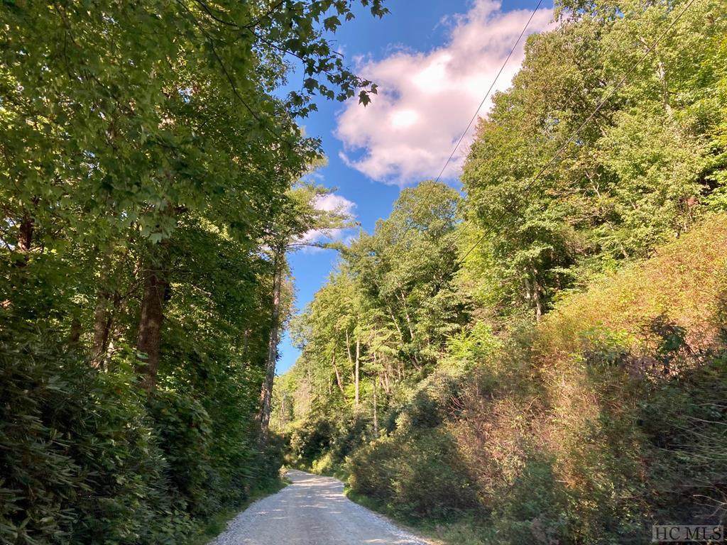 TBD Walkingstick Road - Photo 1