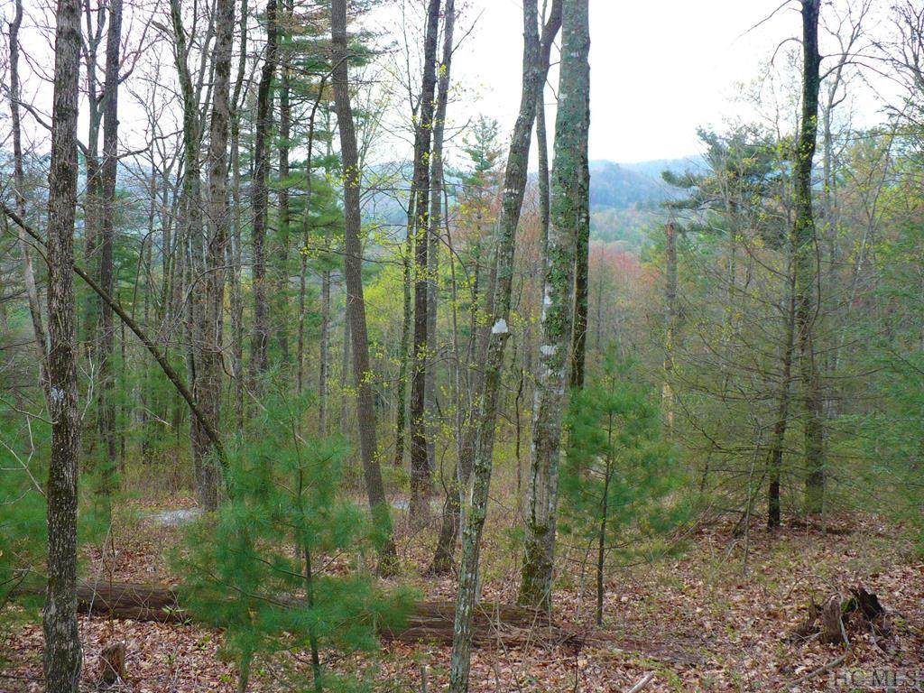 399 Meadowcrest Drive - Photo 1