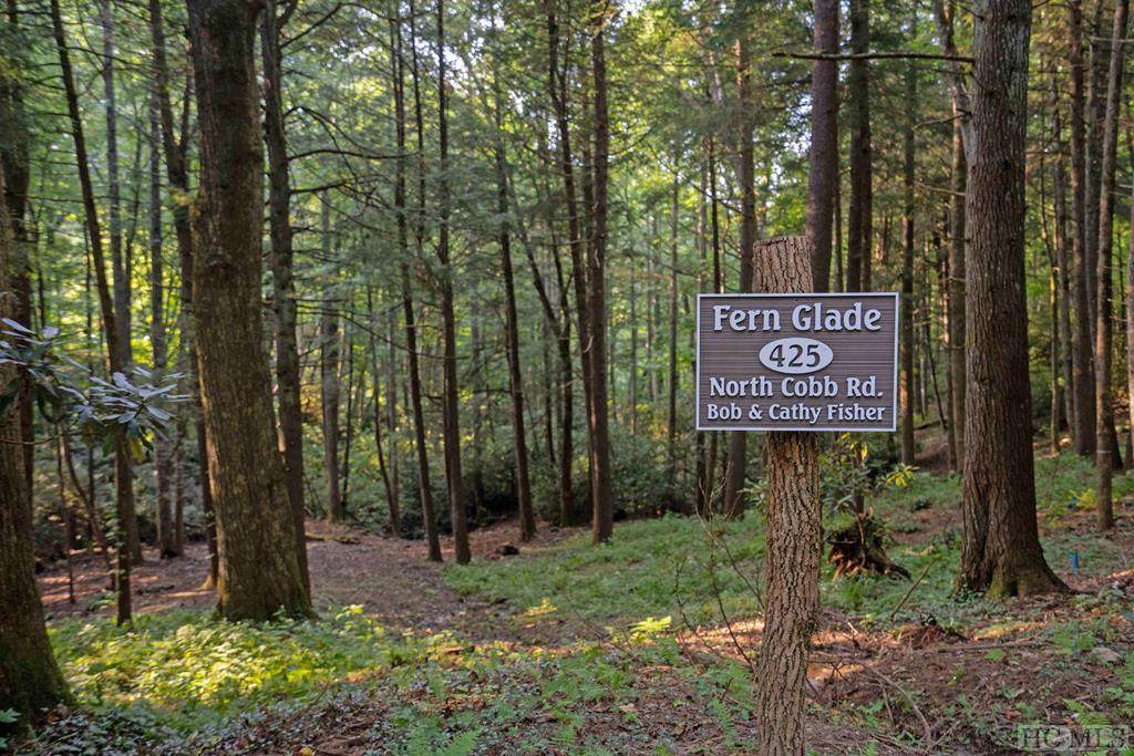 425 North Cobb Road - Photo 1