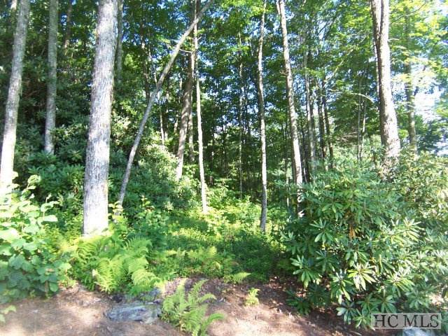 Lot #283 Hemlock Way - Photo 1