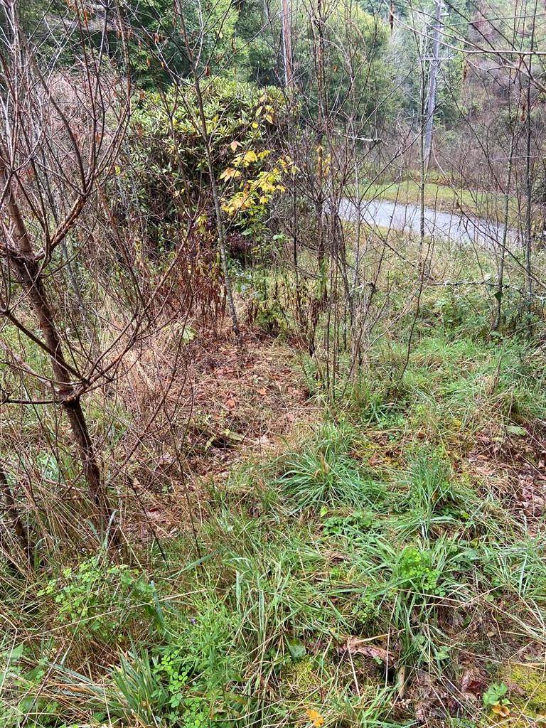 43 Cascades - Photo 1