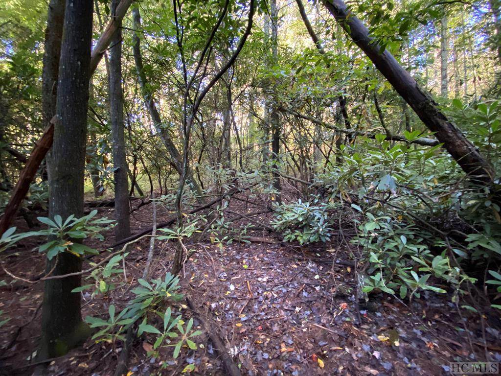 Lot 12 Mica Court - Photo 1