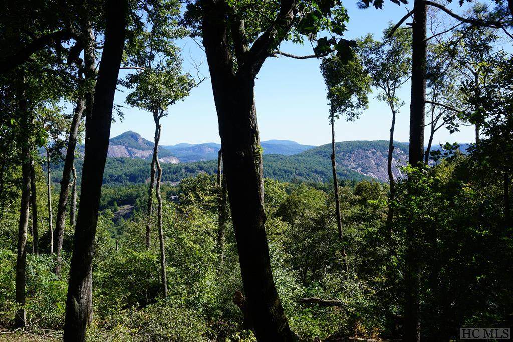 TBD Worley Road - Photo 1