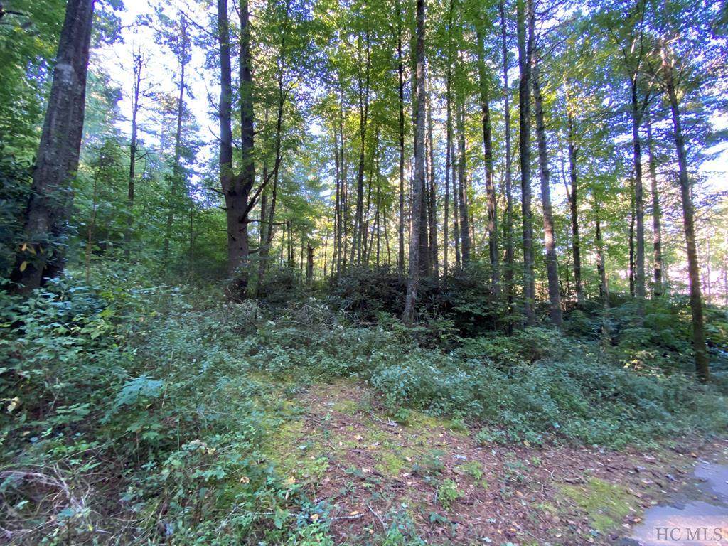 00 Holt Road - Photo 1