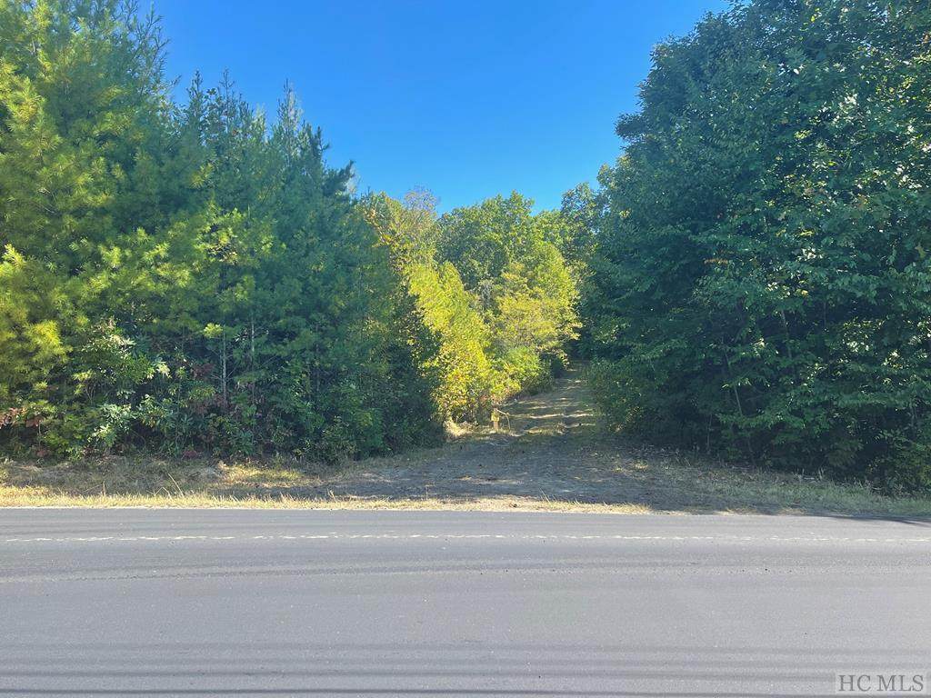 19478 Rosman Hwy - Photo 1