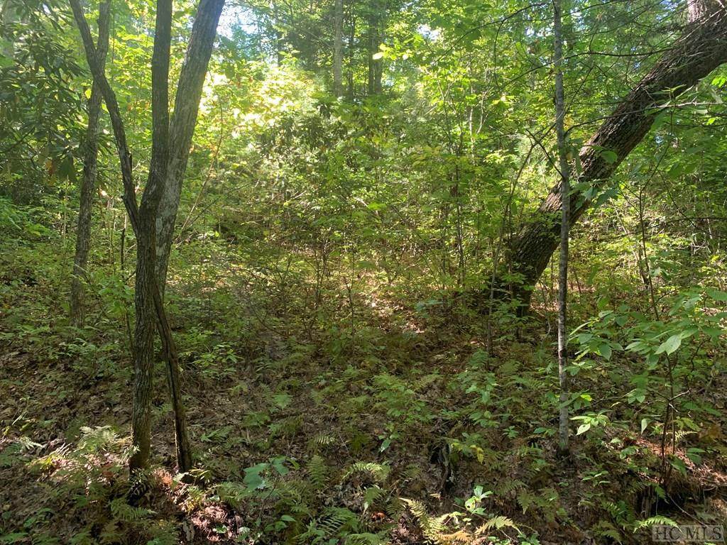 Lot 65 West Christy Trail - Photo 1