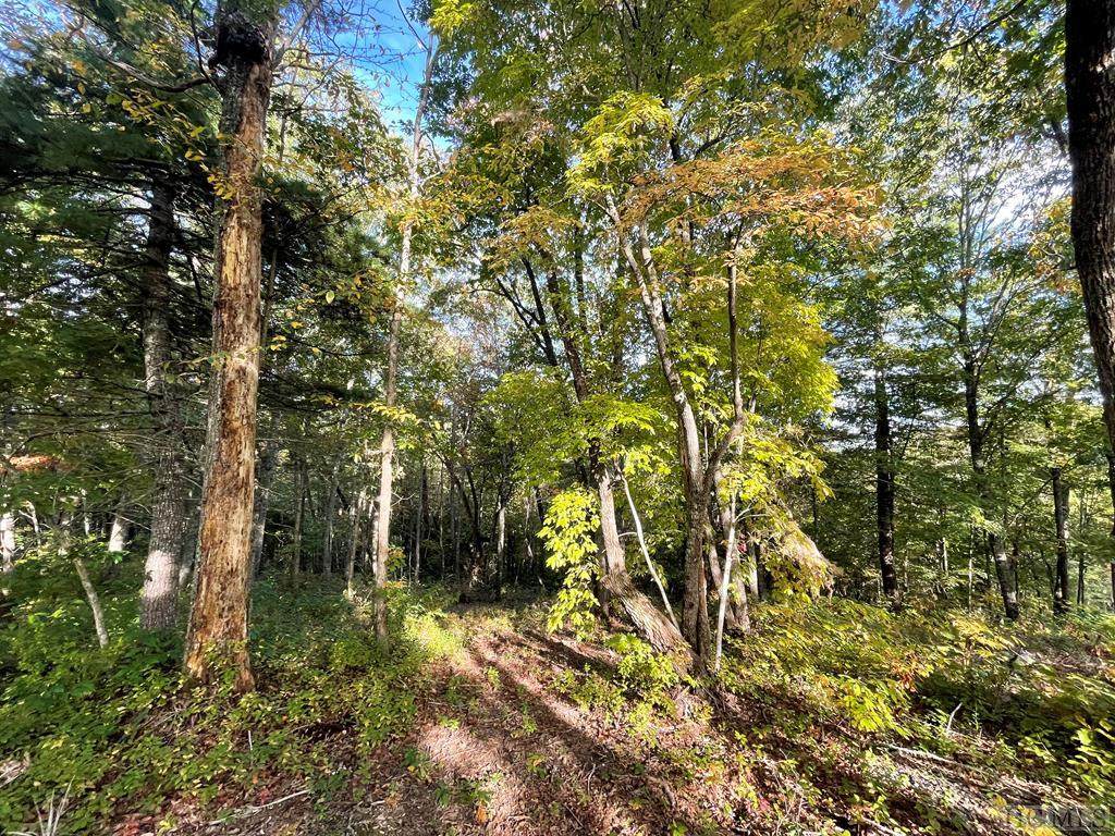 Lot A23 Hunter Jim Creek Road - Photo 1