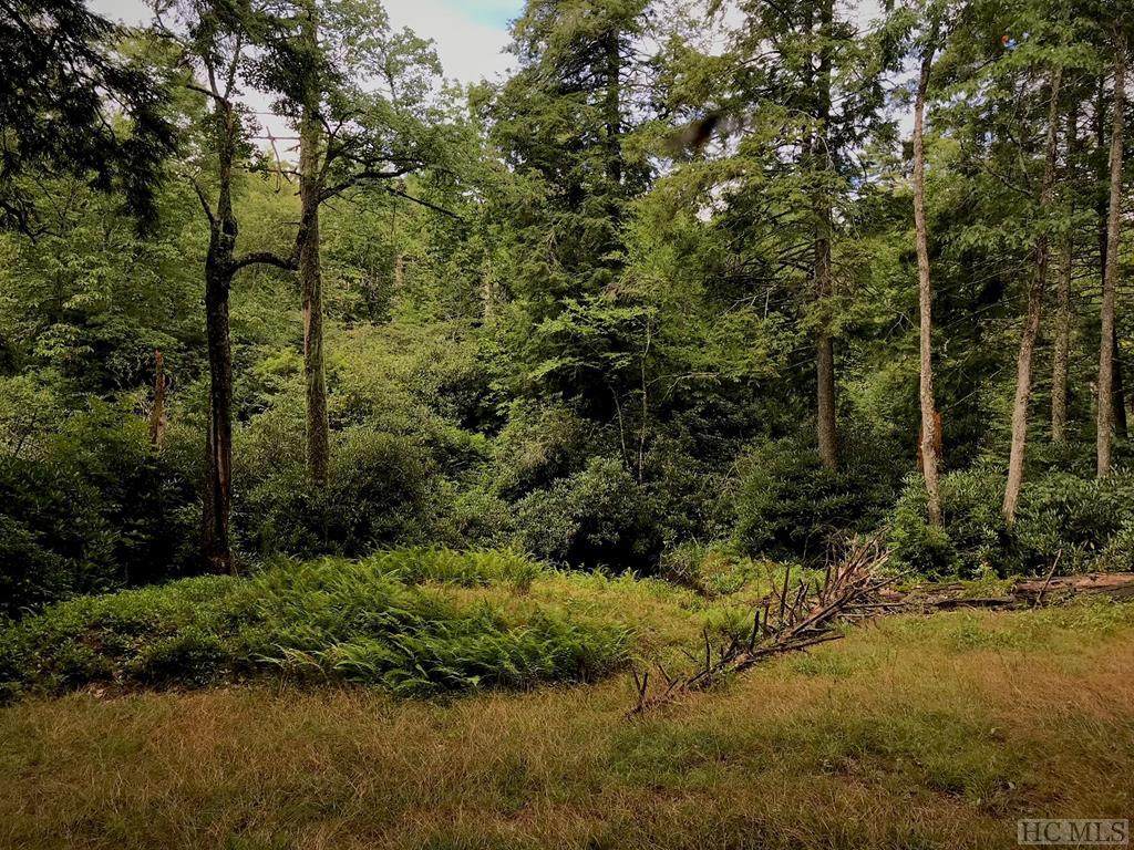 TBD Sagee Woods Drive - Photo 1
