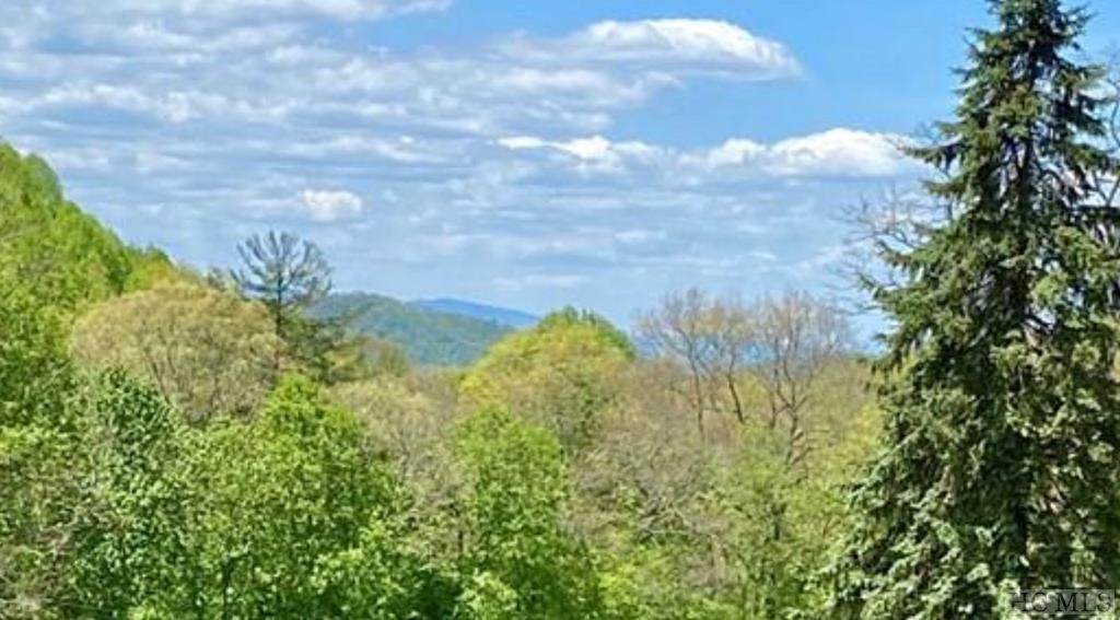 TBD Little Ellijay Road - Photo 1