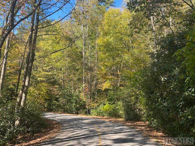 Lot 119 Hickory Drive - Photo 1