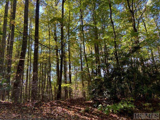 Lot 57 Black Oak Drive - Photo 1